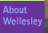 About Wellesley